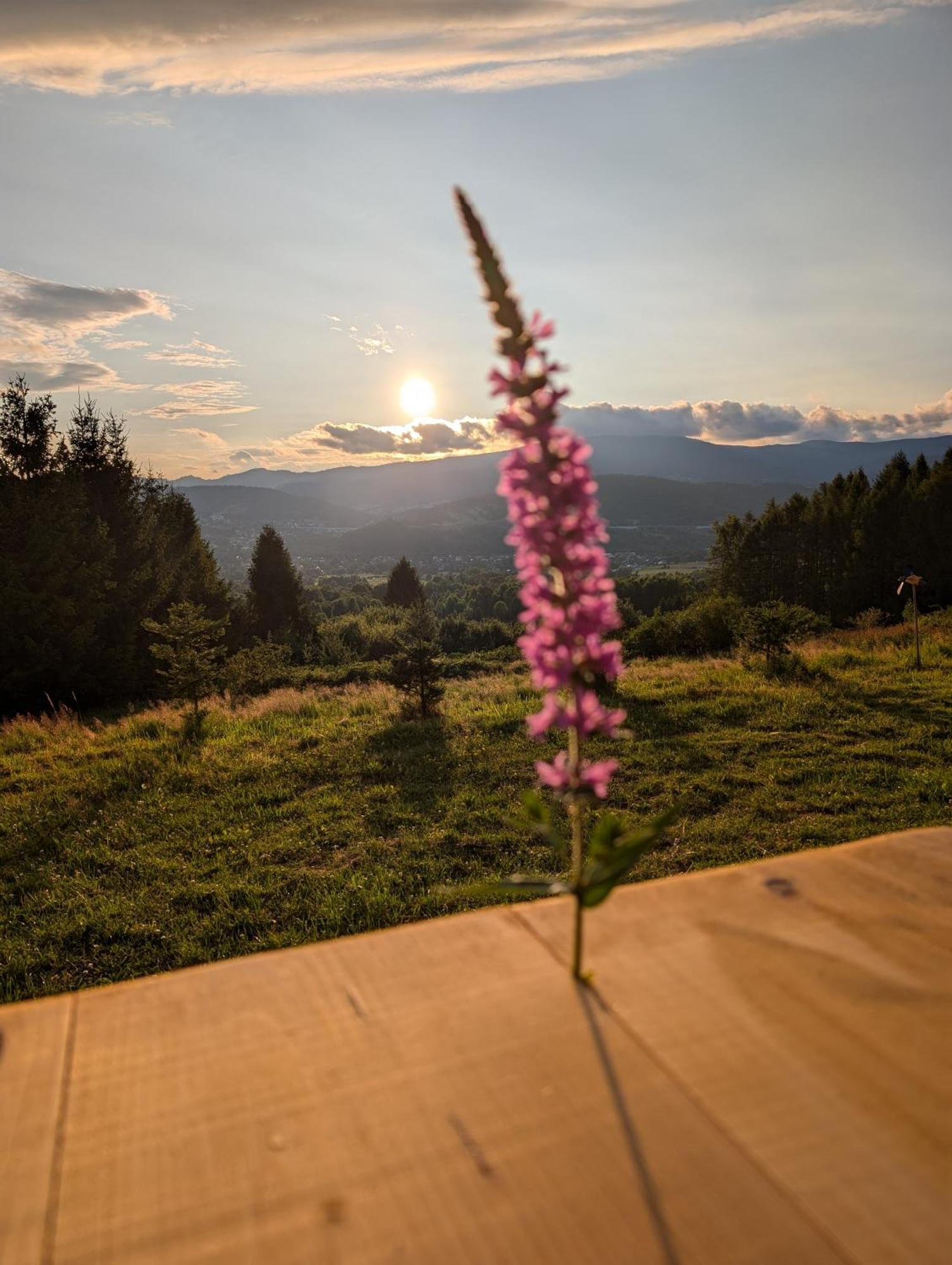 Villa Beskid Milowka Bagian luar foto